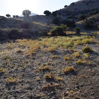 Земельный участок в Греции