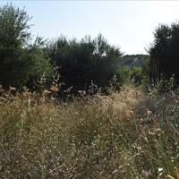 Land plot in Greece, 70 sq.m.