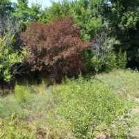 Other in Greece, 320 sq.m.