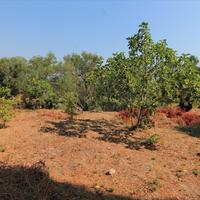 Земельный участок в Греции