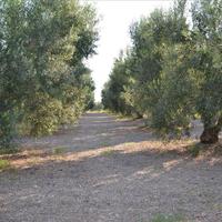 Земельный участок в Греции