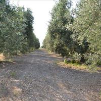 Земельный участок в Греции