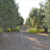 Земельный участок в Греции