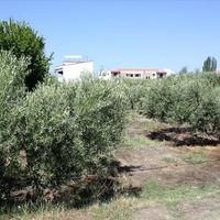 Земельный участок в Греции