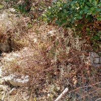 Земельный участок в Греции