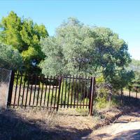 Земельный участок в Греции