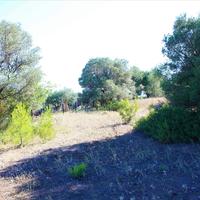 Земельный участок в Греции