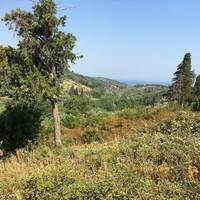 Land plot in Greece, 12615 sq.m.