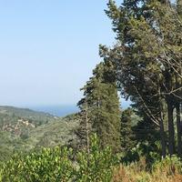 Land plot in Greece, 12615 sq.m.