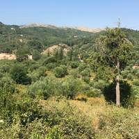 Land plot in Greece, 12615 sq.m.