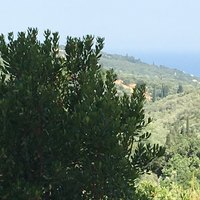 Land plot in Greece, 12615 sq.m.