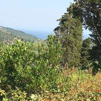 Land plot in Greece, 12615 sq.m.