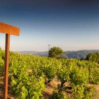 Land plot in Republic of Cyprus