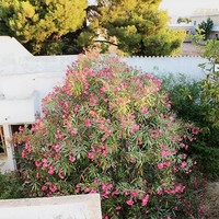 Отель (гостиница) в Греции, 1320 кв.м.