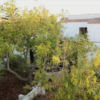 Отель (гостиница) в Греции, 1320 кв.м.