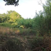 Land plot in Greece