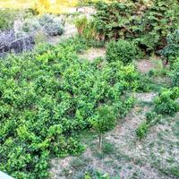 Villa in Greece, 250 sq.m.