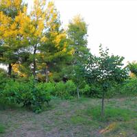 Villa in Greece, 250 sq.m.