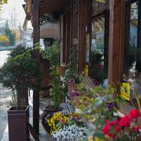 Business center in Greece, 1110 sq.m.