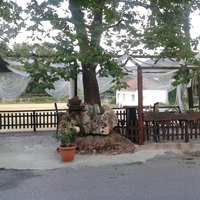 Business center in Greece, 1110 sq.m.