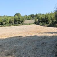 Land plot in Greece