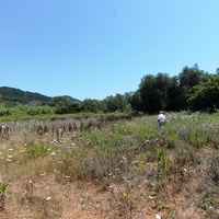 Land plot in Greece, 940 sq.m.