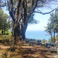 Земельный участок в Греции, 2000 кв.м.