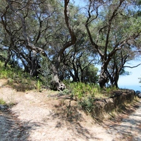 Земельный участок в Греции, 2000 кв.м.