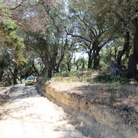 Земельный участок в Греции, 2000 кв.м.