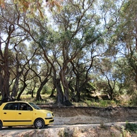 Земельный участок в Греции, 2000 кв.м.