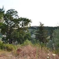 Земельный участок в Греции, 2800 кв.м.