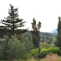 Земельный участок в Греции, 2800 кв.м.