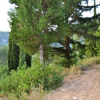 Земельный участок в Греции, 2800 кв.м.