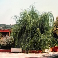 Бизнес-центр в Греции