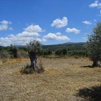 Land plot in Greece