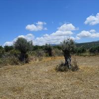 Land plot in Greece