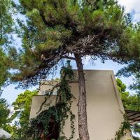 Вилла в Греции, 300 кв.м.