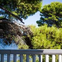 Вилла в Греции, 300 кв.м.