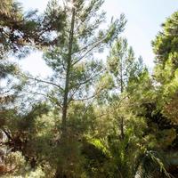 Вилла в Греции, 300 кв.м.