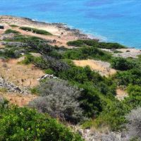 Земельный участок в Греции