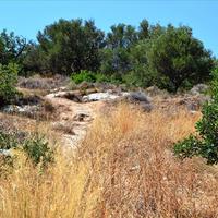 Land plot in Greece