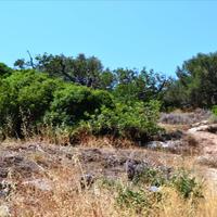 Land plot in Greece