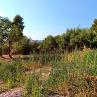 Land plot in Greece