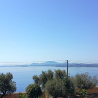 Land plot in Greece, 6000 sq.m.