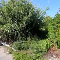 Land plot in Greece, 1500 sq.m.