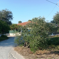 Land plot in Greece, 650 sq.m.