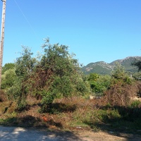 Land plot in Greece, 650 sq.m.