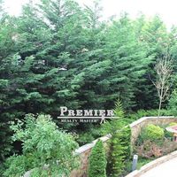 Flat in Bulgaria, Ravda, 55 sq.m.