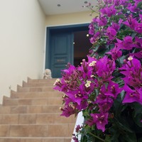 Villa in Greece, 440 sq.m.