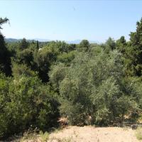Land plot in Greece